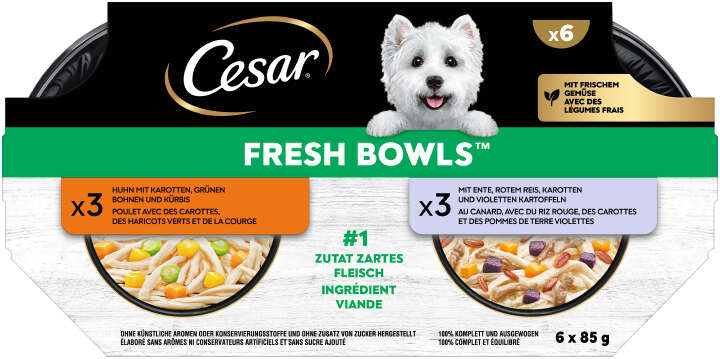 Cesar Hunde-Nassfutter FRESH BOWLS Schale Huhn+Ente in Sauce
